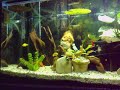 Meine beiden Becken Meine beiden Becken