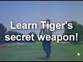 Tiger Woods 2 iron stinger Tiger Woods 2 iron stinger