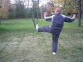 Yang style Tai chi 24 form