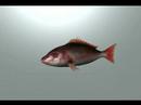 3d production term 1