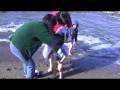 videos de Hunter vs. The Pacific Ocean