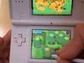 Accessing Unplayable Areas in LoZ PH on Mercay Island