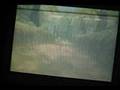 Zelda TP: Wolf Glitch Fun #1 - Setup the Fun