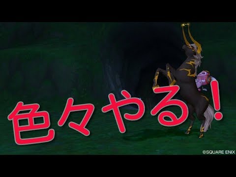 動画
