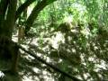 videos de visita Reserva Otamendi con los amigos