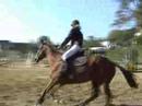 Narcos et Blandine Chateauvillain Oct. 2007 CSO
