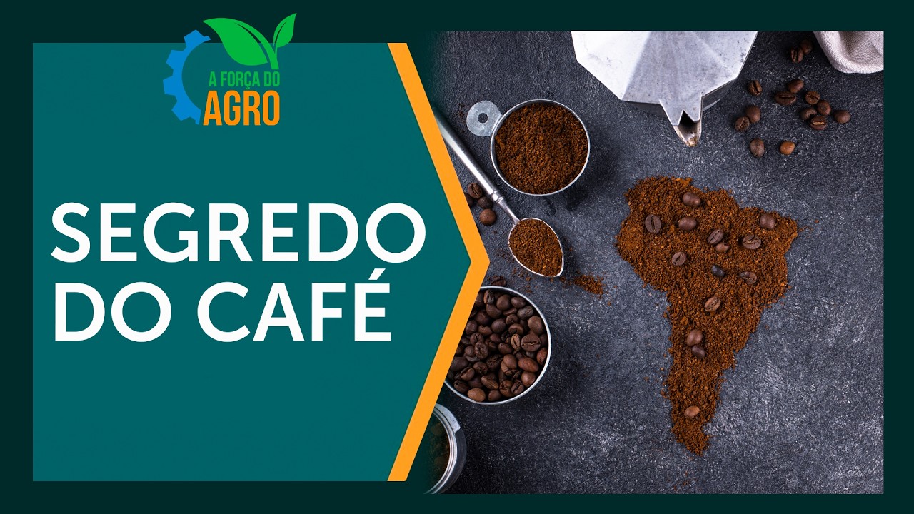 Qual o segredo para um café perfeito? O barista revela! | A Força do Agro