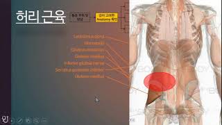Advanced course - 허리 및 하지 통증의 통증조절치료 - 김한빛 선생님