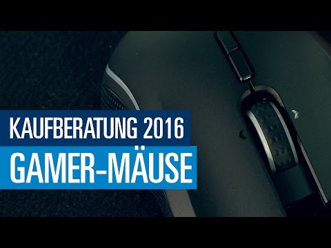 PC-Zubehör - Gamer-Mäuse: Alles über Gamer-Mäuse - P ...