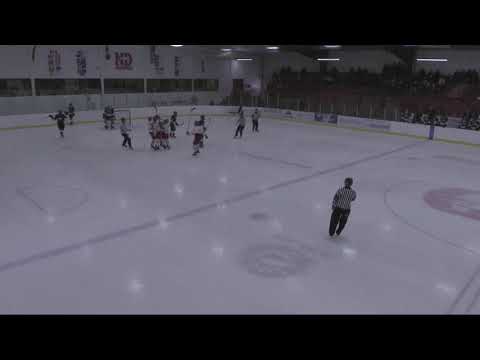 Zone entry and assist vs Team Sask