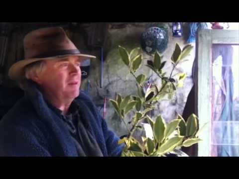 how to react more calmly