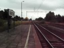 Parowóz jedzie przez Budzy? z okazji Blues Express Parowóz jedzie przez Budzy? z okazji Blues Express