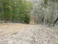 videos de DRZ 250 Hill Climb