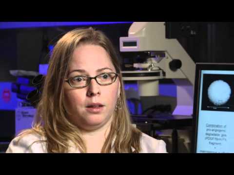 Meet Our Diabetes Researchers