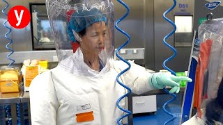 חוקרים בינלאומיים מציעים: חקירה פלילית על המקור של התפרצות הקורונה