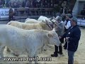 4. Kärntner Fleischrindermesse