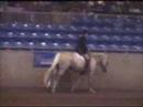 RFF Prince Charming Road Hack