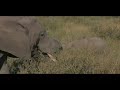 Serengeti National Park - Tanzania