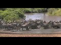 Serengeti National Park - Tanzania