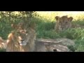 Serengeti National Park - Tanzania - YouTube