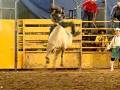 videos de Rodeio 1.mp4