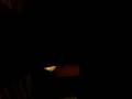 videos de Sanna sjunger