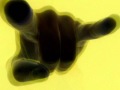 Thumbnail #3