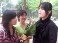 Trang-Xtin