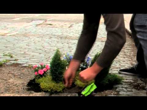 0 Découvrez le mini guerilla gardening !