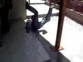 Unbelievable Funny Accident
