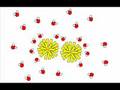 Xem Video