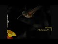 Slow Motion Hummingbirds 6: Assorted Casio EX-F1 shots 300-600fps upscaled to 720p HD