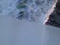 Holey Moley Holey Moley