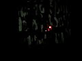 powerful agf's (a.k.a. antye greie) live performance at s?odownia in pozna?. (22.02.2008).
voice + word + let's silence protect us.