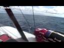 Crossing the Doldrums (26/11/08) - VOLVO OCEAN RACE 2008/9