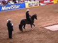 Don Cholito de Los Robles Don Cholito de Los Robles