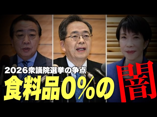 石田和靖が「衆院選の消費税0%公約は財源不明確で大手小売業に恩恵」と分析