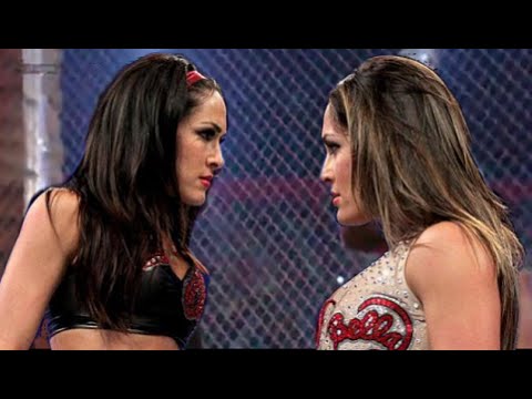WWE divas fighting each other