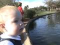 videos de Feeding the ducks