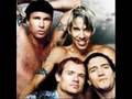 Tributo a Michael Balzary FLEA
