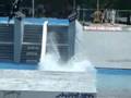 Aaron Rathy - Wakeboard & Wakeskate - Wakestock 2007