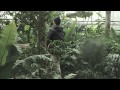 Video John Grant - GMF Video John Grant - GMF
