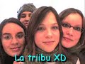 voila une video de la classe des seconde 2 du claudel section 2007/2008 xd
pour le skypouet les-indiens-damerique