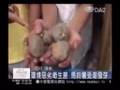 20080926 慈濟四川愛延續 小志工探訪長者