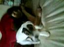 Destiny the dog part 1