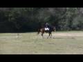 Pine Hill Dressage Test Med