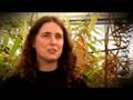 Secret lives of plants