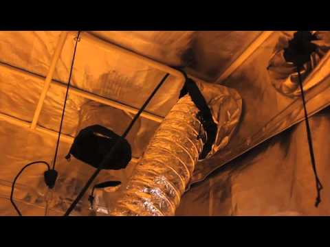 how to build a cge grow room