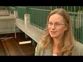 Innovators Focus: Seattle Spearheads Citywide Climate Protection