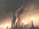 Iglesia Borroka: Misas terroristas fascistas